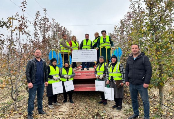 За ущерб фруктовым садам выплачена рекордная сумма аграрного страхования