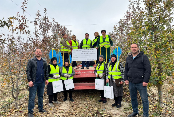 Meyvə bağlarına dəyən zərər üzrə rekord məbləğdə aqrar sığorta ödənişi edildi