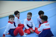 Kişi idman gimnastikası üzrə 29-cu, qadın idman gimnastikası üzrə 8-ci ölkə çempionatı və birinciliyi start götürüb (FOTO)