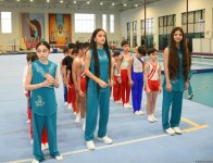 Kişi idman gimnastikası üzrə 29-cu, qadın idman gimnastikası üzrə 8-ci ölkə çempionatı və birinciliyi start götürüb (FOTO)