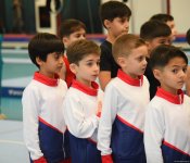 Kişi idman gimnastikası üzrə 29-cu, qadın idman gimnastikası üzrə 8-ci ölkə çempionatı və birinciliyi start götürüb (FOTO)