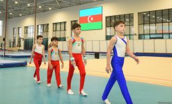 Kişi idman gimnastikası üzrə 29-cu, qadın idman gimnastikası üzrə 8-ci ölkə çempionatı və birinciliyi start götürüb (FOTO)