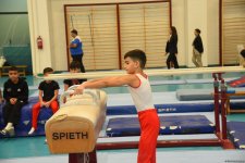 Kişi idman gimnastikası üzrə 29-cu, qadın idman gimnastikası üzrə 8-ci ölkə çempionatı və birinciliyi start götürüb (FOTO)