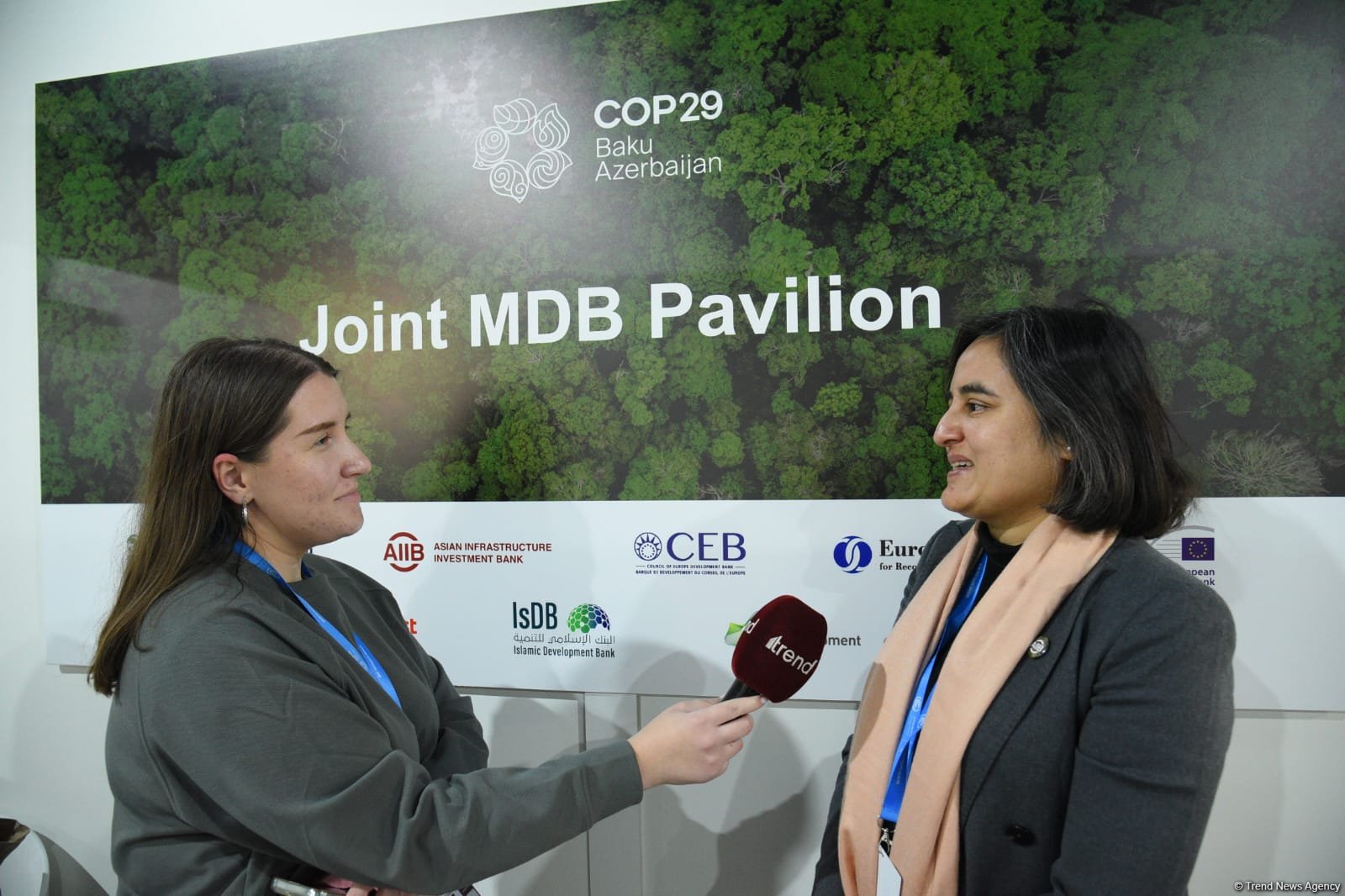 COP29