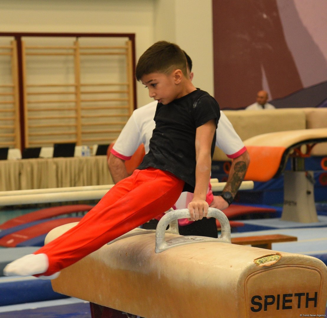 Kişi idman gimnastikası üzrə 29-cu, qadın idman gimnastikası üzrə 8-ci ölkə çempionatı və birinciliyi start götürüb (FOTO)