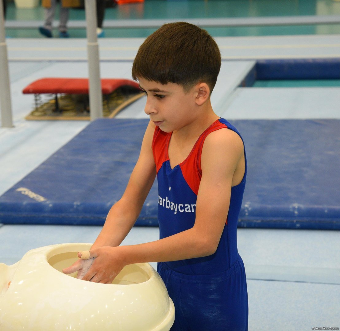 Kişi idman gimnastikası üzrə 29-cu, qadın idman gimnastikası üzrə 8-ci ölkə çempionatı və birinciliyi start götürüb (FOTO)