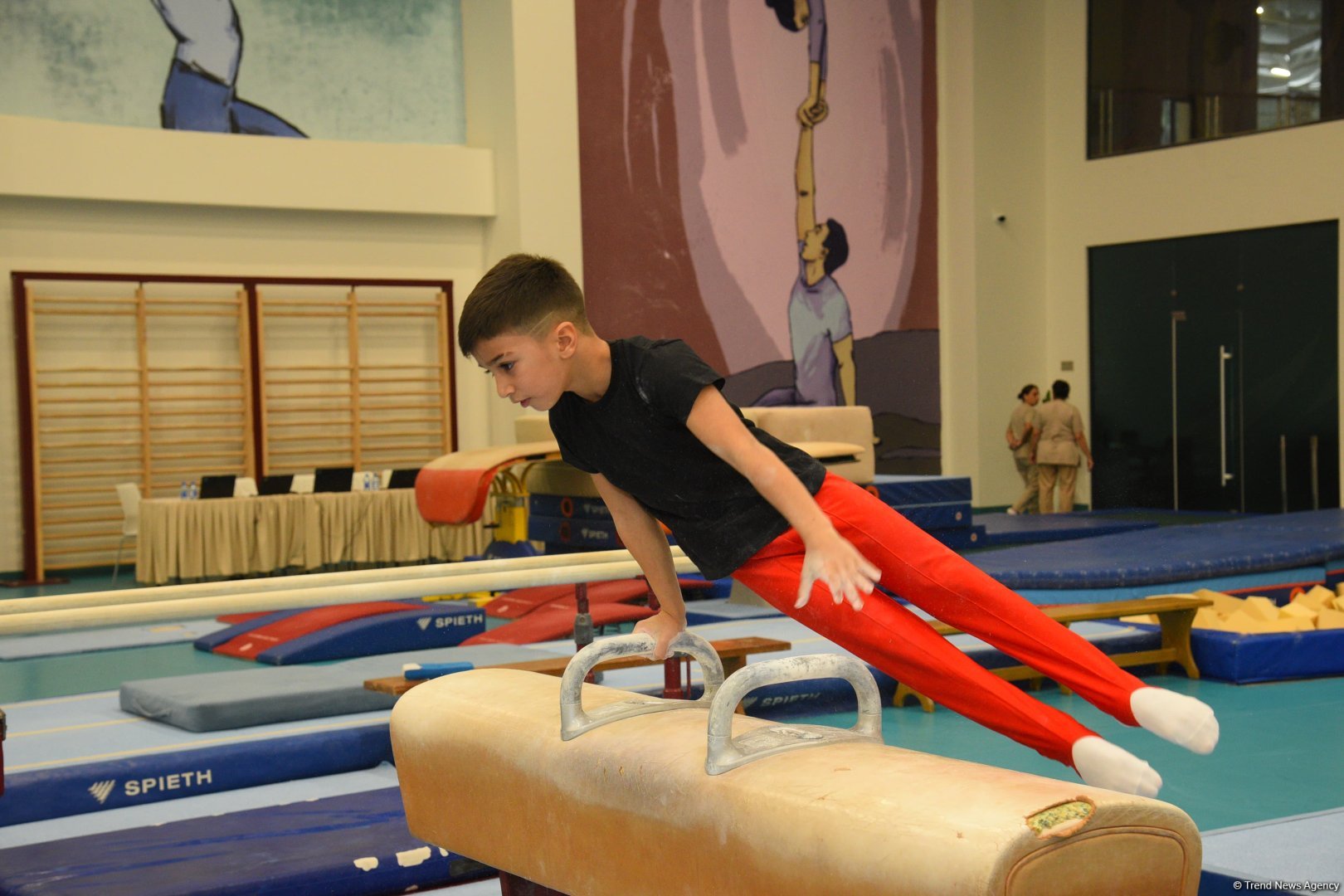 Kişi idman gimnastikası üzrə 29-cu, qadın idman gimnastikası üzrə 8-ci ölkə çempionatı və birinciliyi start götürüb (FOTO)