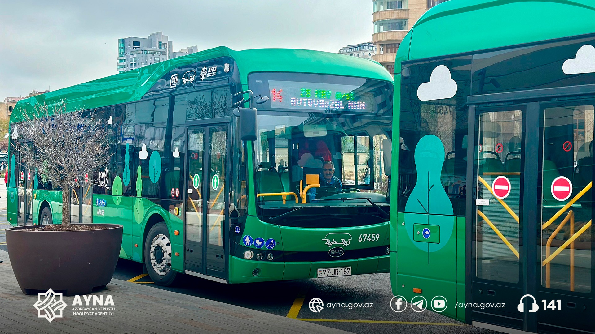 How many buses in Azerbaijan's Nakhchivan run on electricity?