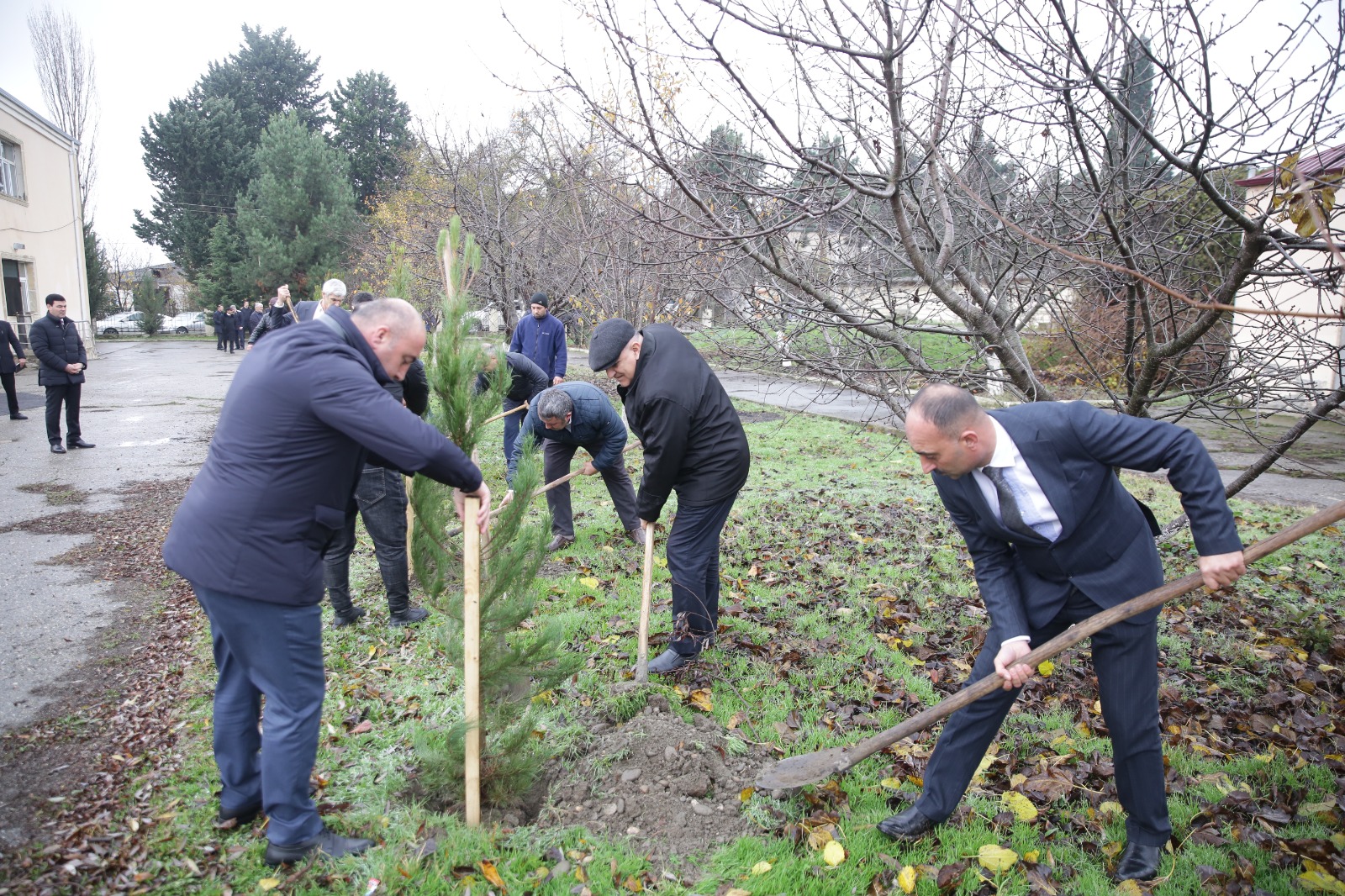 Xaçmazda növbəti səyyar qəbul və ekoloji aksiya Nərəcan kəndində keçirilib (FOTO)