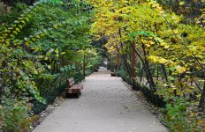 President Ilham Aliyev, First Lady Mehriban Aliyeva, and their family members attend inauguration of Central Botanical Garden (PHOTO/VIDEO)