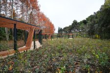 President Ilham Aliyev, First Lady Mehriban Aliyeva, and their family members attend inauguration of Central Botanical Garden (PHOTO/VIDEO)