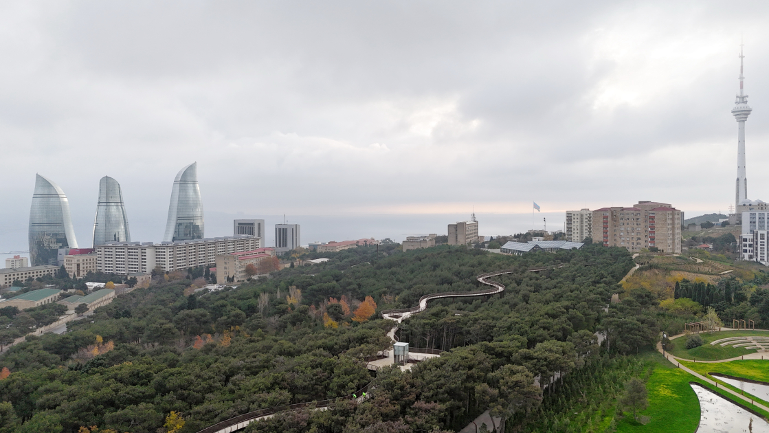 President Ilham Aliyev, First Lady Mehriban Aliyeva, and their family members attend inauguration of Central Botanical Garden (PHOTO/VIDEO)