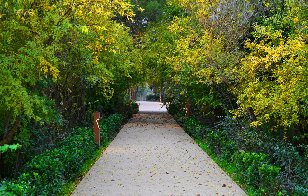 President Ilham Aliyev, First Lady Mehriban Aliyeva, and their family members attend inauguration of Central Botanical Garden (PHOTO/VIDEO)