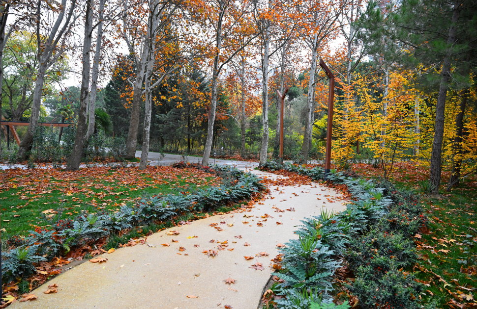 President Ilham Aliyev, First Lady Mehriban Aliyeva, and their family members attend inauguration of Central Botanical Garden (PHOTO/VIDEO)