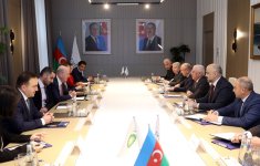 Azerbaijan's Azerenerji, bp discuss collaborative energy initiatives (PHOTO)