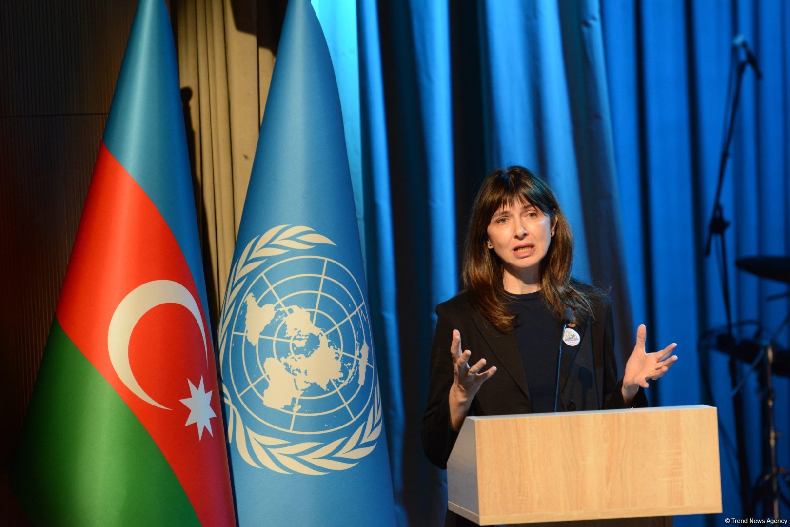 Azerbaijan's Baku holds disability-led climate solutions event (PHOTO)