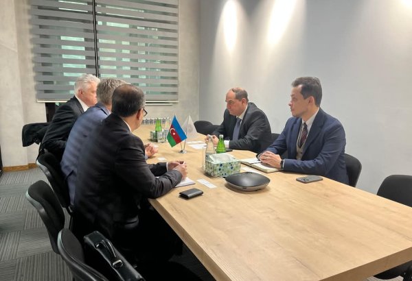 Azerbaijan, Sweden discuss wind energy cooperation in Caspian Sea (PHOTO)