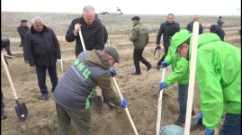 Yevlaxda zərərverici və xəstəliklərə yoluxaraq qurumuş 30 hektar sahədə yeni meşə salınır (FOTO)