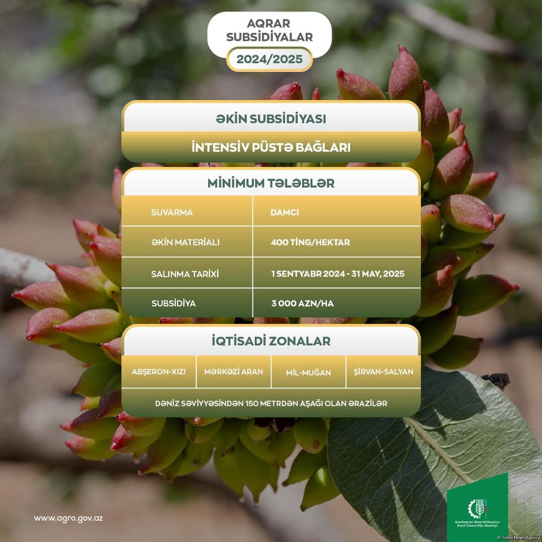 Püstə bağlarının hər hektarına görə fermerlərə 3000 manat birdəfəlik əkin subsidiyası ödəniləcək