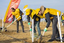 Yelo Bank empowers nature: a tree for each customer (PHOTO)