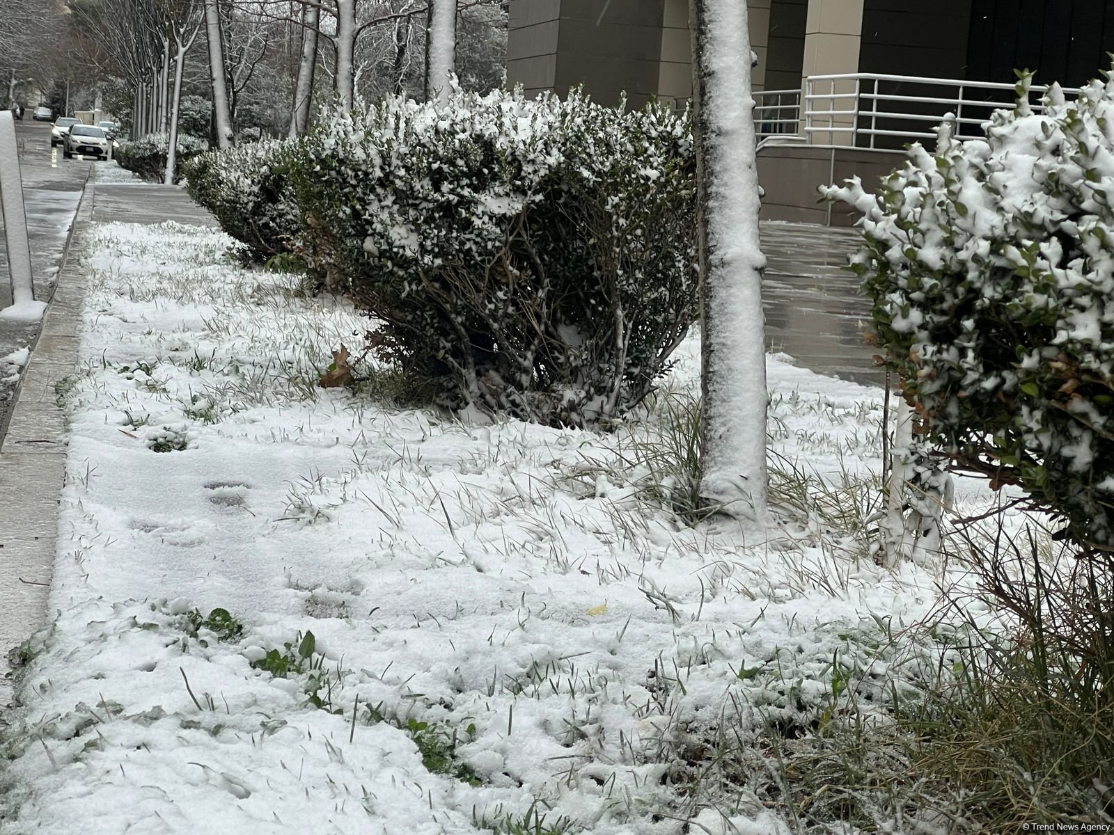 Bakıda mövsümün ilk qarından FOTOREPORTAJ