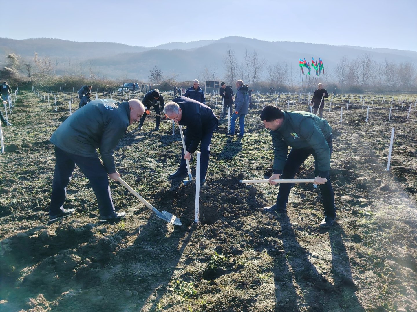 Bu gün meşə fondu torpaqlarında 35 mindən çox ağac əkilib (FOTO)