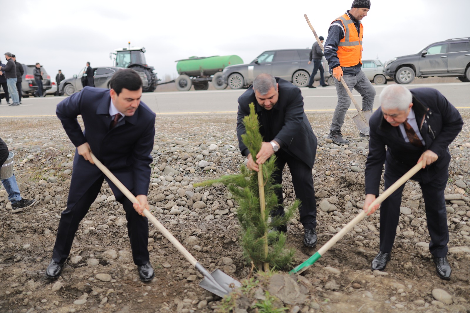 Xaçmazda növbəti ağacəkmə aksiyası keçirilib (FOTO)