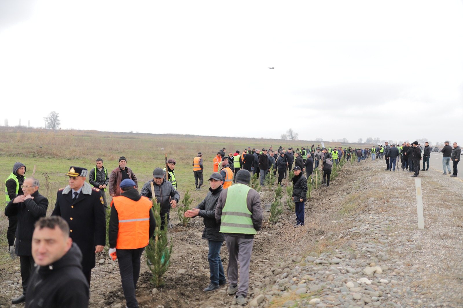 Xaçmazda növbəti ağacəkmə aksiyası keçirilib (FOTO)