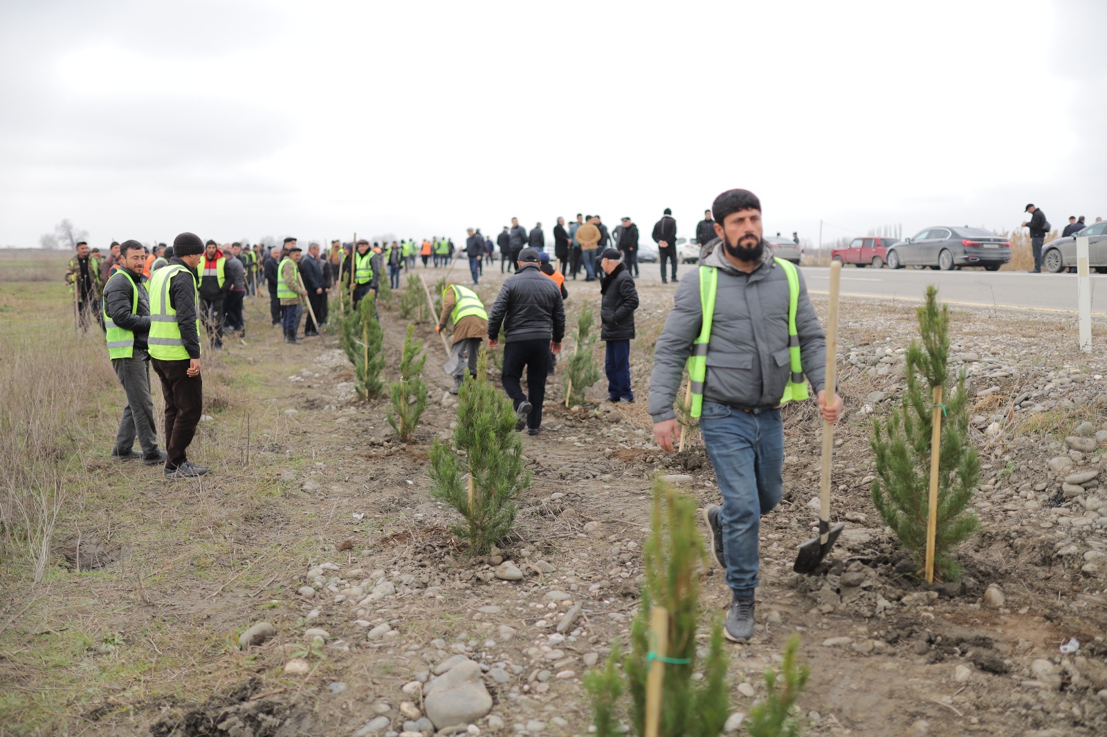 Xaçmazda növbəti ağacəkmə aksiyası keçirilib (FOTO)