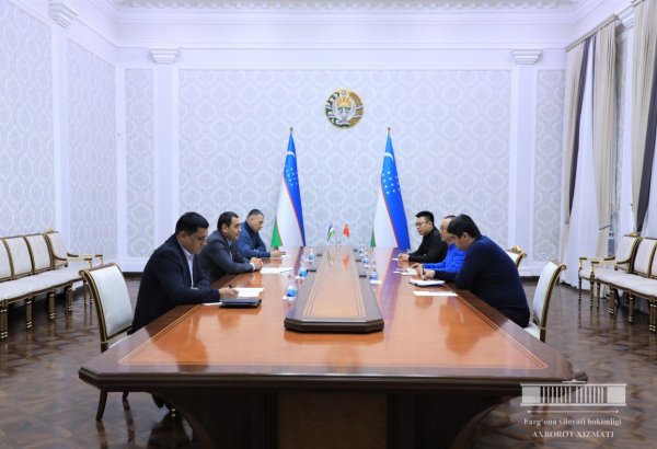 Chinese company to invest in green energy projects in Uzbekistan's Fergana