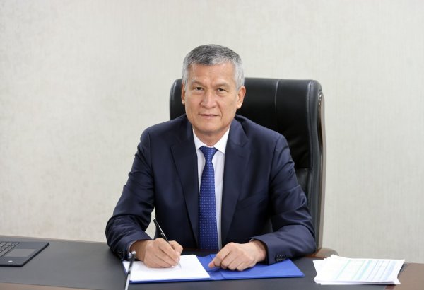 Uzbekistan's mining combine sets sights on major copper output growth by 2030 - chairman (Exclusive interview)