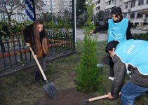 С участием вице-президента Фонда Гейдара Алиева Лейлы Алиевой и руководителя Баку Медиа Центра Арзу Алиевой  в пользование жителей в Баку переданы обновленные дворы (ФОТО)