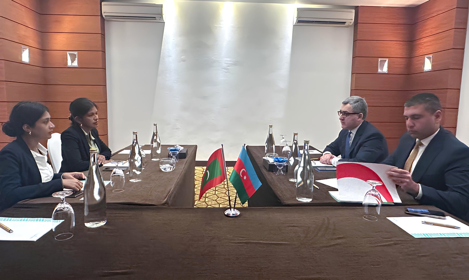 Azerbaijan, Maldives explore green energy cooperation opportunities