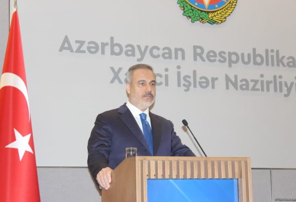 Türkiye, Azerbaijan seek to develop cooperation in different geographical regions - FM