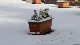 Xankəndi ağ örpəyə büründü - FOTOREPORTAJ