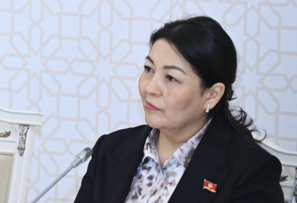 Climate change affects health, putting youths social adaptability at stake - Kyrgyz PM