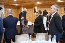 Heydər Əliyev Fondunun vitse-prezidenti Leyla Əliyeva Davos Dünya İqtisadi Forumu çərçivəsində keçirilən tədbirdə iştirak edib (FOTO)