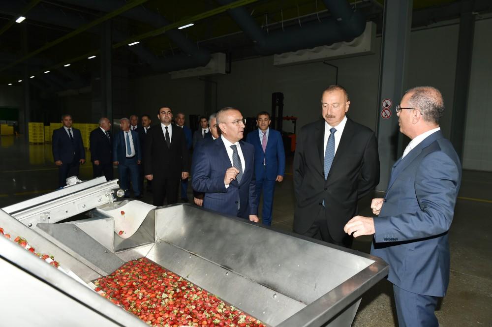 Президент Ильхам Алиев принял участие в открытии логистического центра 
