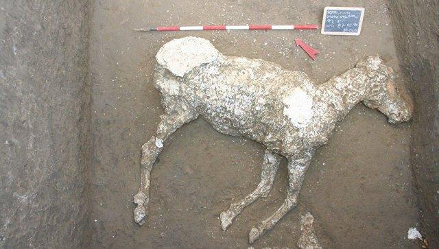 Археологи нашли в Помпеях древнеримские конюшни и 