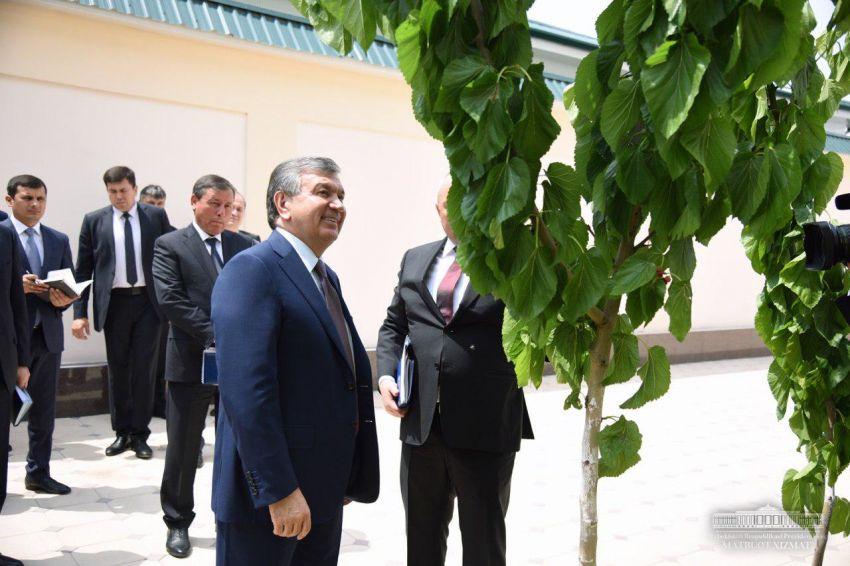 Узбекский учёный впечатлил Мирзиёева тутовым деревом