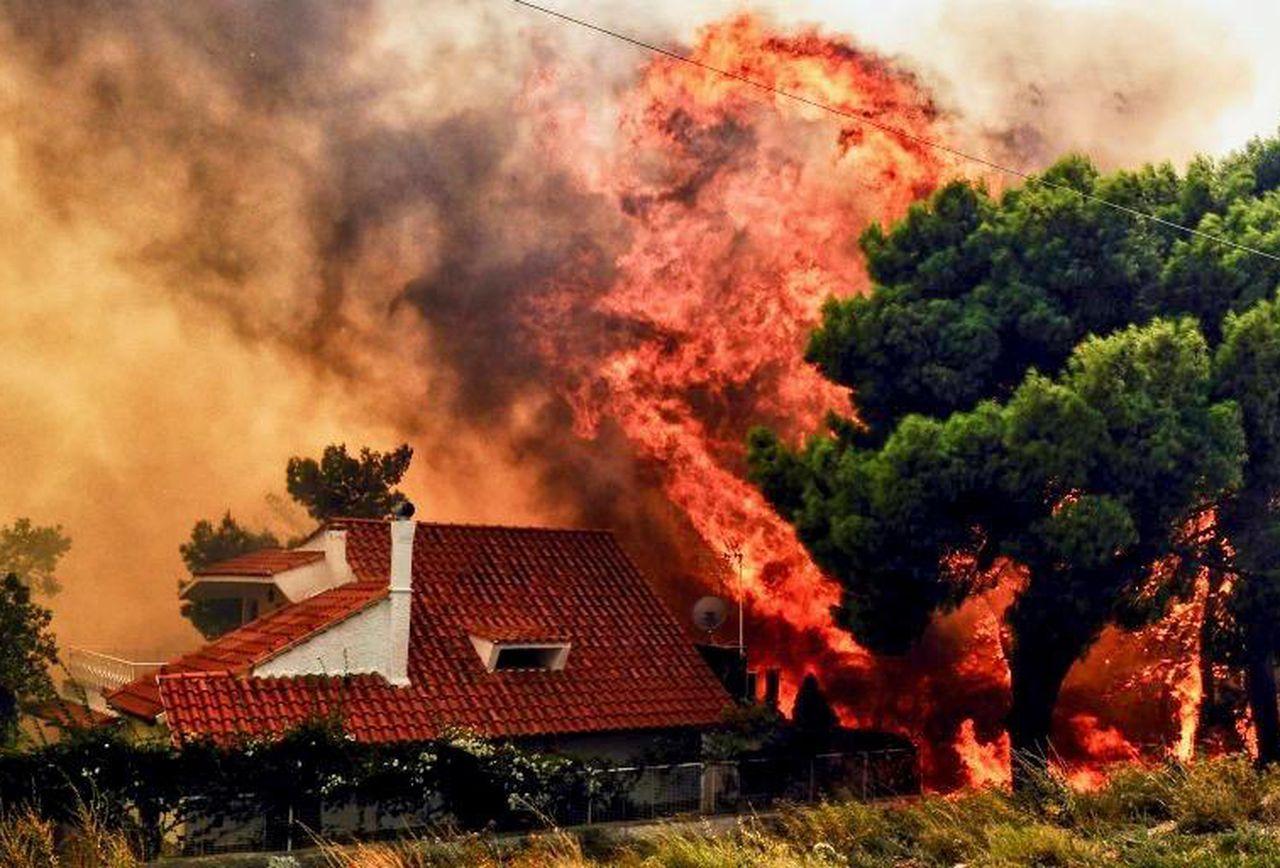 Число жертв пожаров в Греции возросло до 91 человека