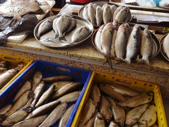 İranın mərkəzi vilayətindən 15 min diri balıq ixrac edilib