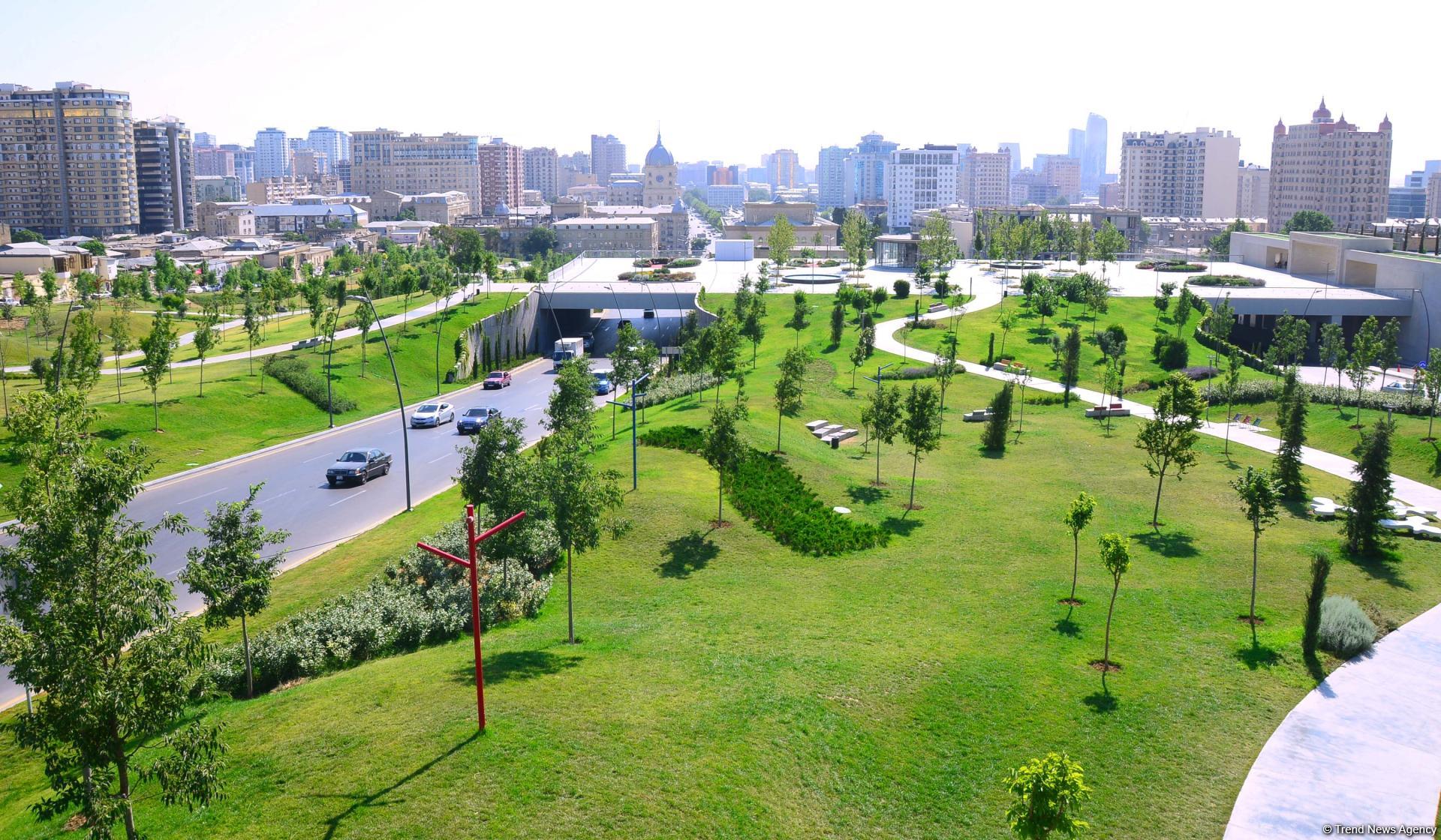 Еще один облик Баку - Центральный парк