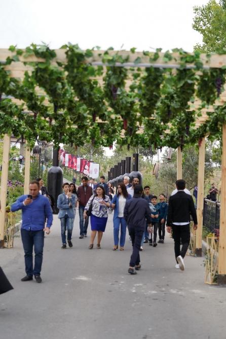 В Шамахы состоялось грандиозное открытие первого Азербайджанского фестиваля винограда и вина