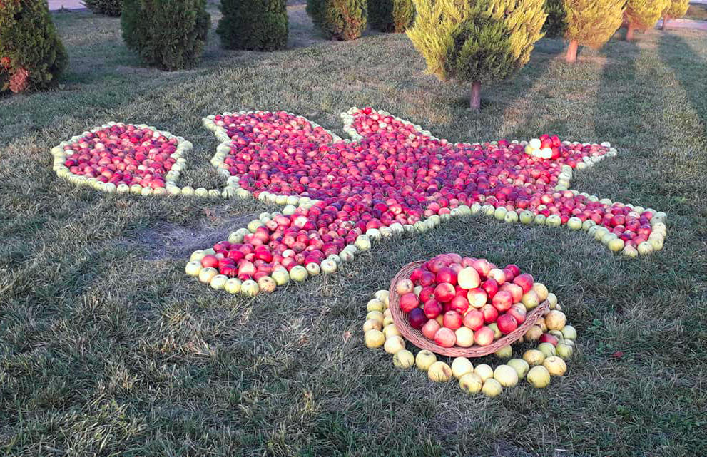 Qubada “Alma bayramı”nda 20 minə yaxın insan iştirak edib (FOTO/VİDEO)