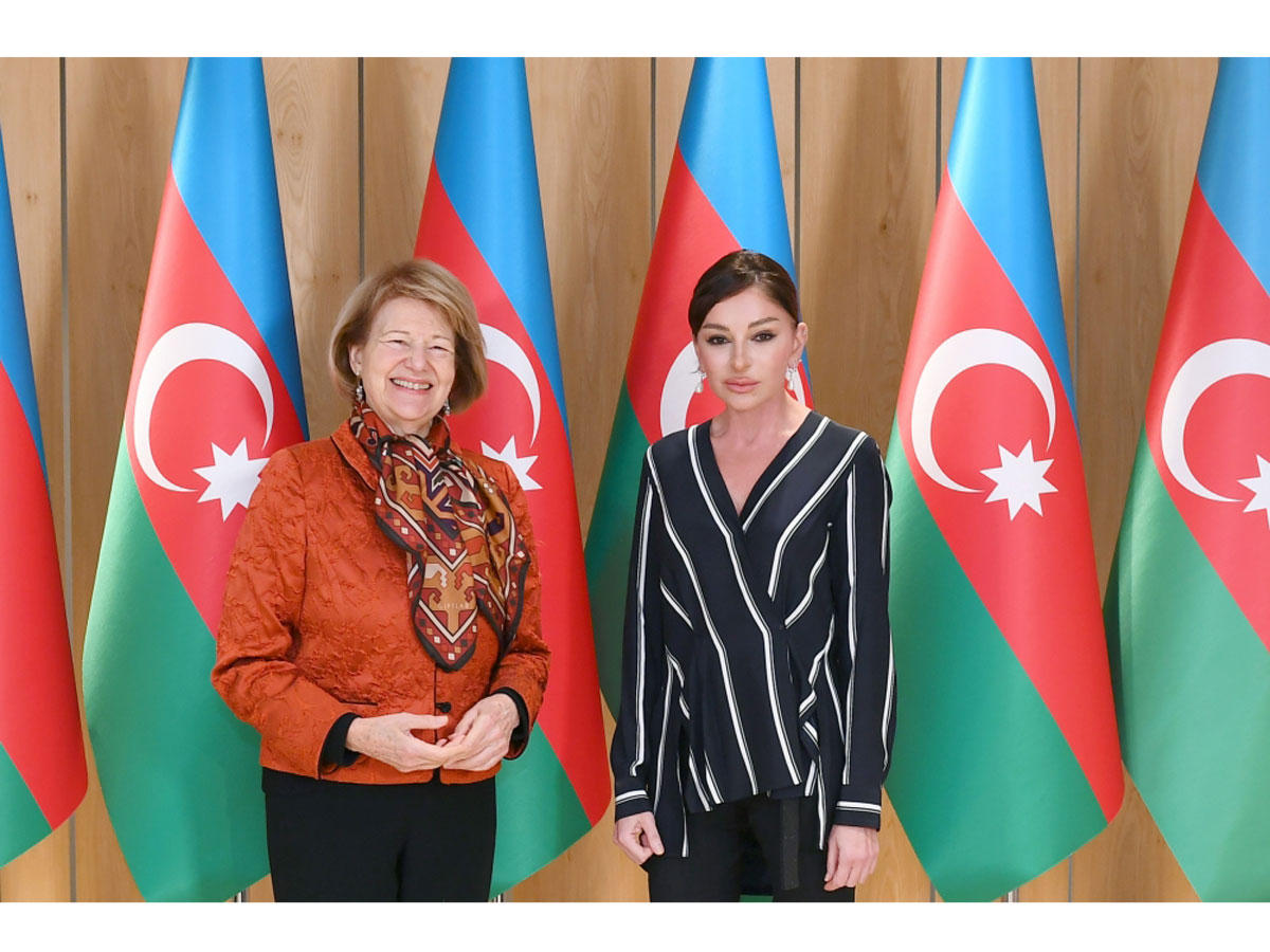 Первый вице-президент Мехрибан Алиева встретилась с торговым посланником премьер-министра Великобритании по Азербайджану (ФОТО) (версия 2)