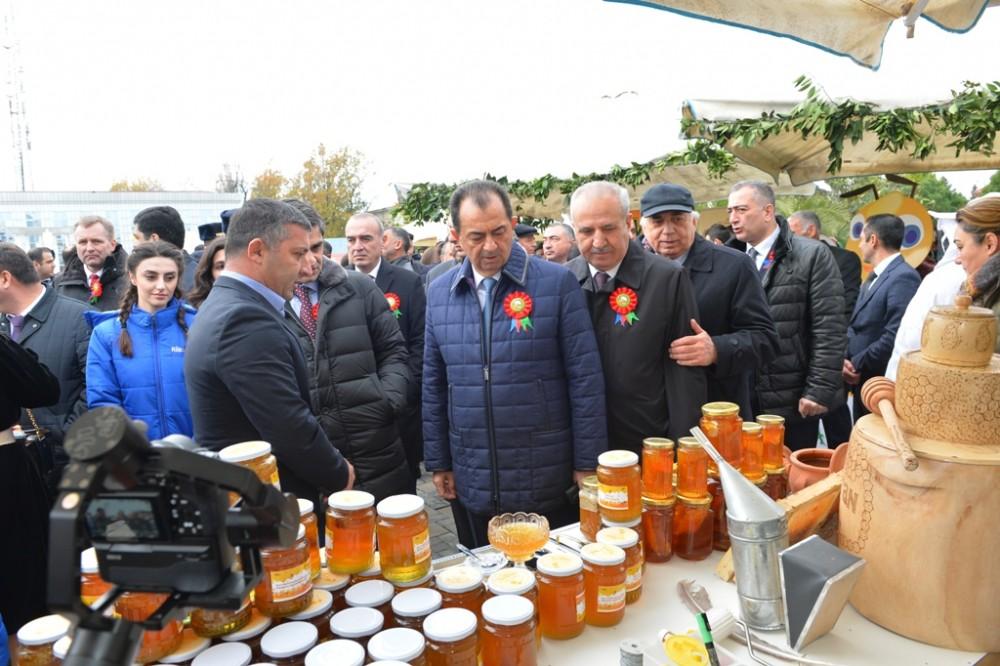 Lənkəranda Çay, Çəltik, Sitrus Festivalı keçirilib (FOTO)