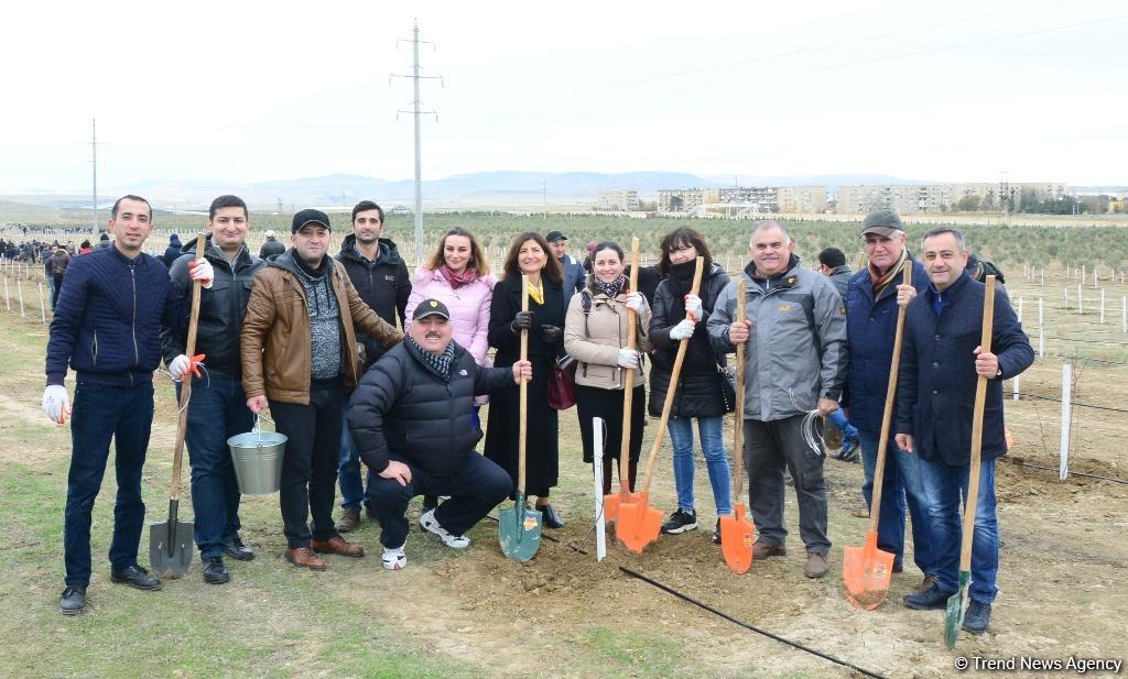 “Trend.az”, “Day.az”, “Milli.az” və “Azernews.az” əməkdaşları 650 min ağacın əkilməsi üzrə aksiyada iştirak edib (FOTO)