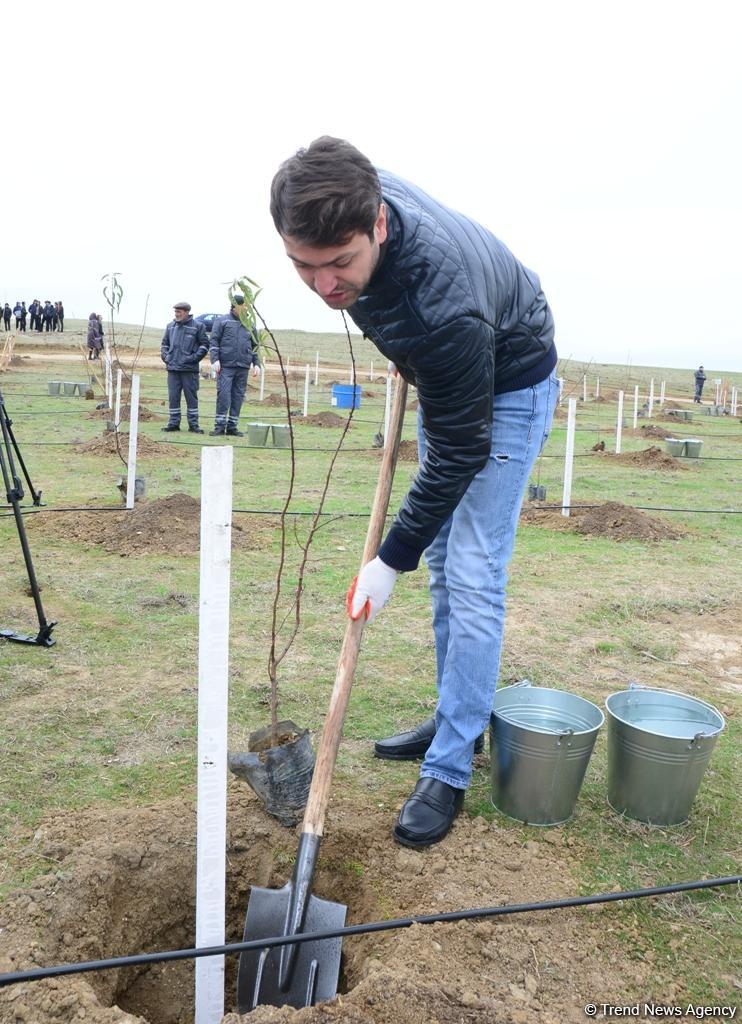 “Trend.az”, “Day.az”, “Milli.az” və “Azernews.az” əməkdaşları 650 min ağacın əkilməsi üzrə aksiyada iştirak edib (FOTO)