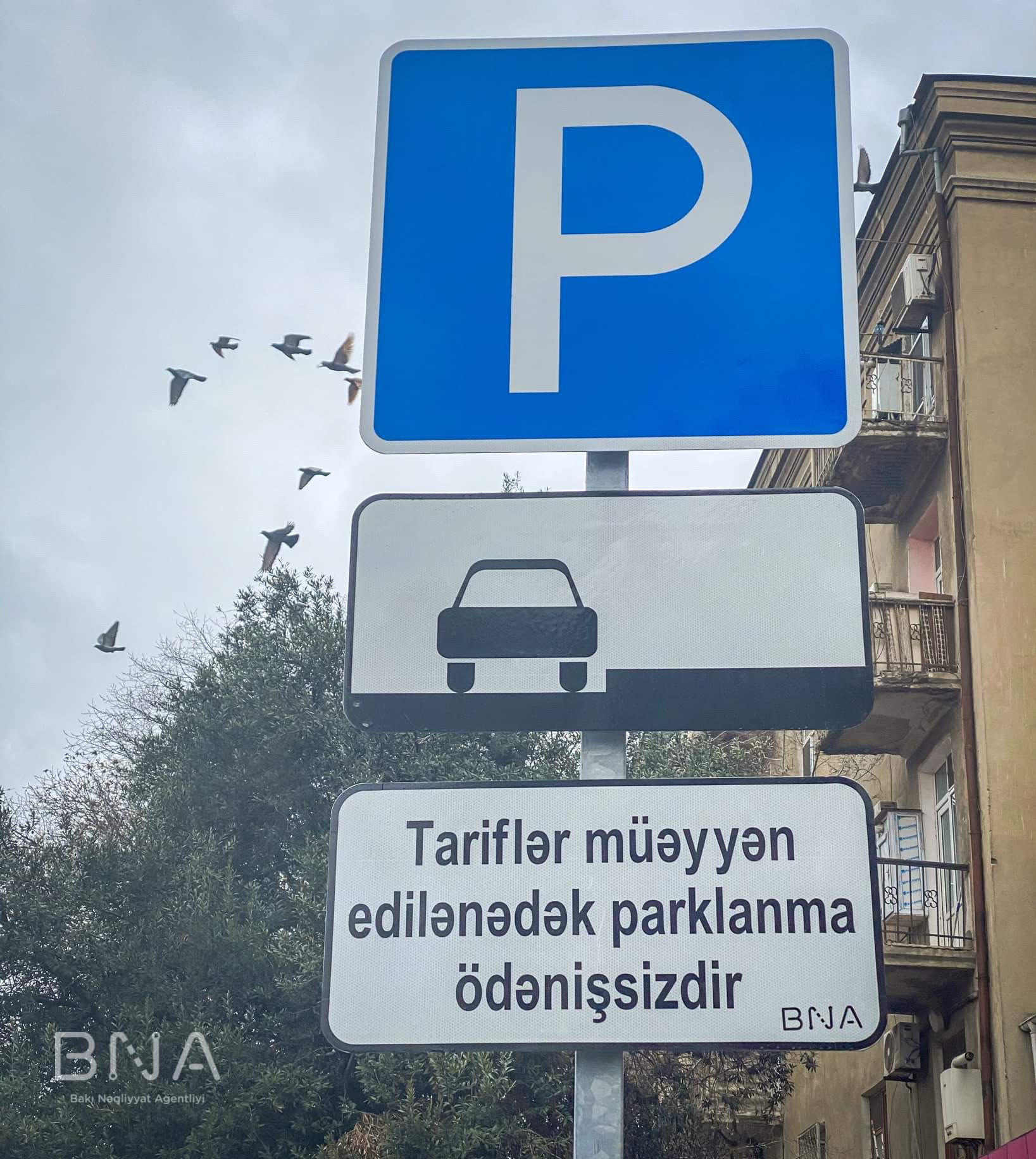 Bakıda bu ərazilərdə parklanma pulsuz oldu - Lövhələrə diqqət edin (FOTO)